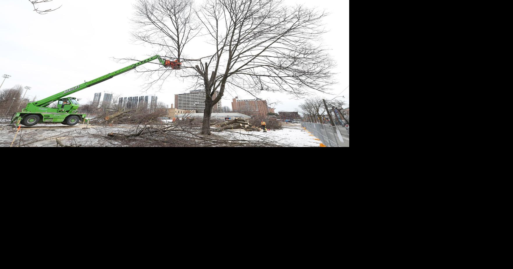 Rosie DiManno: FIFA’s legacy in Toronto will be donating a few trees. Doug Ford’s might be the destruction of trees