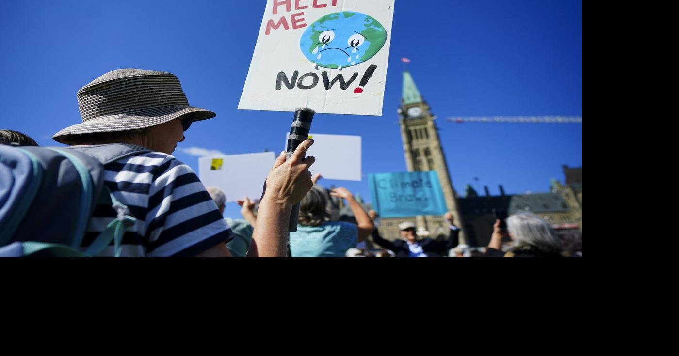 Environment committee engaging in 'junior high behaviour': former climate advisers