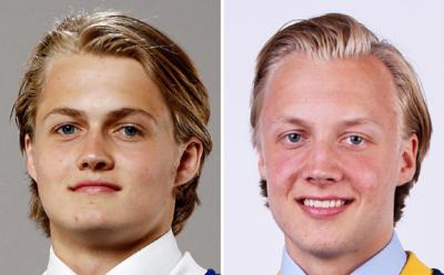 Nylander brothers