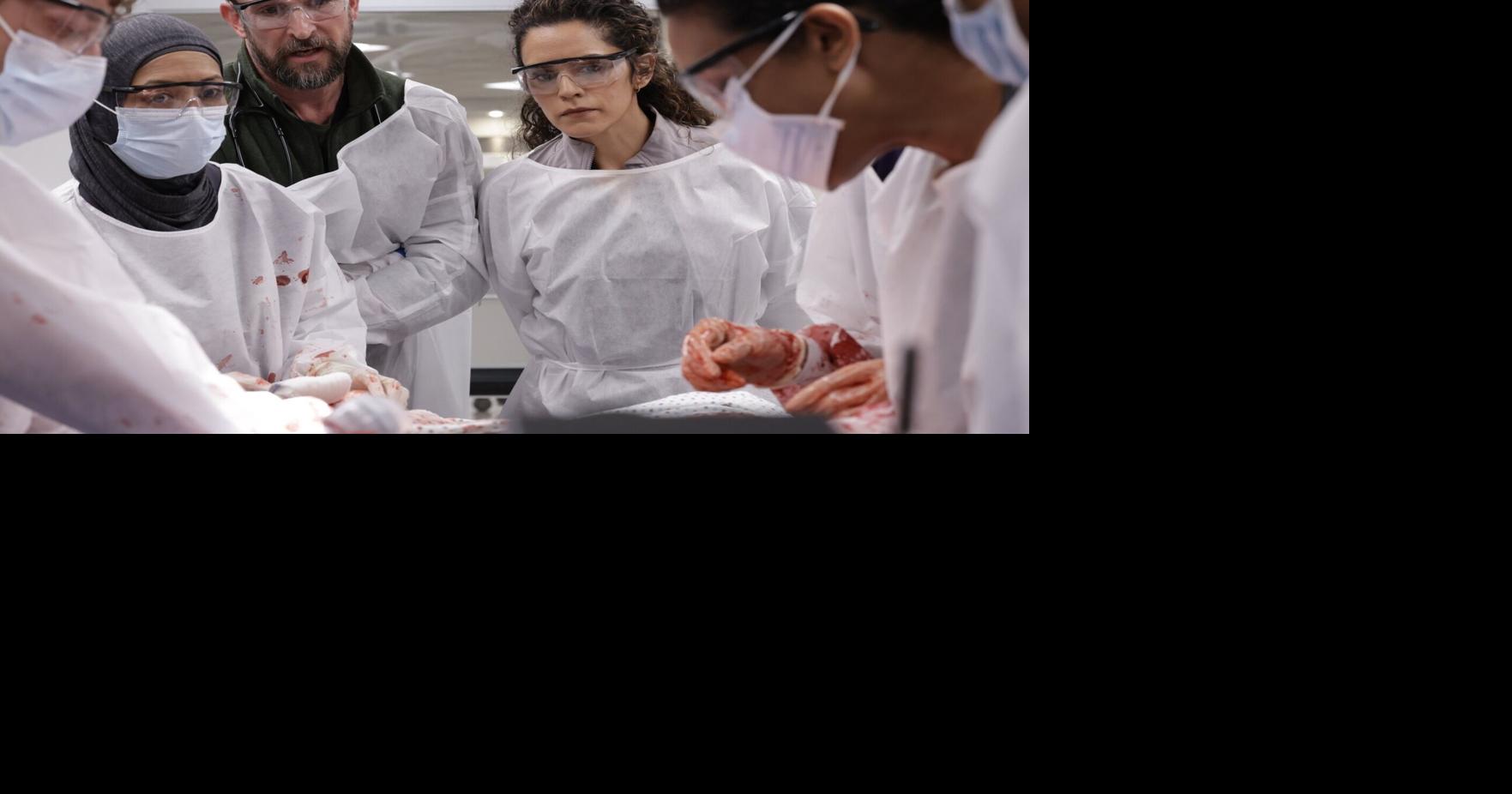 'It feels very real': how 'The Pitt' creators and stars bring the smash-hit show roaring to life