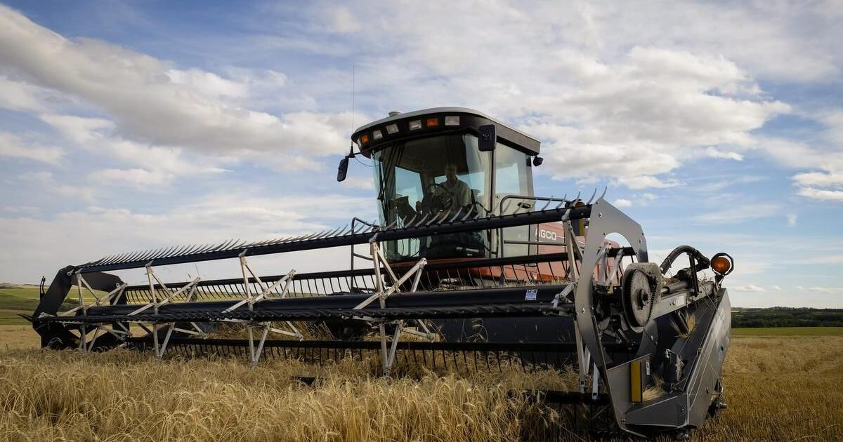 Canadian Agriculture Sector Scrambling To Offset Consequences Of Covid