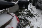 Ontario's privatized recycling to stop picking up extra bags outside blue boxes in some communities