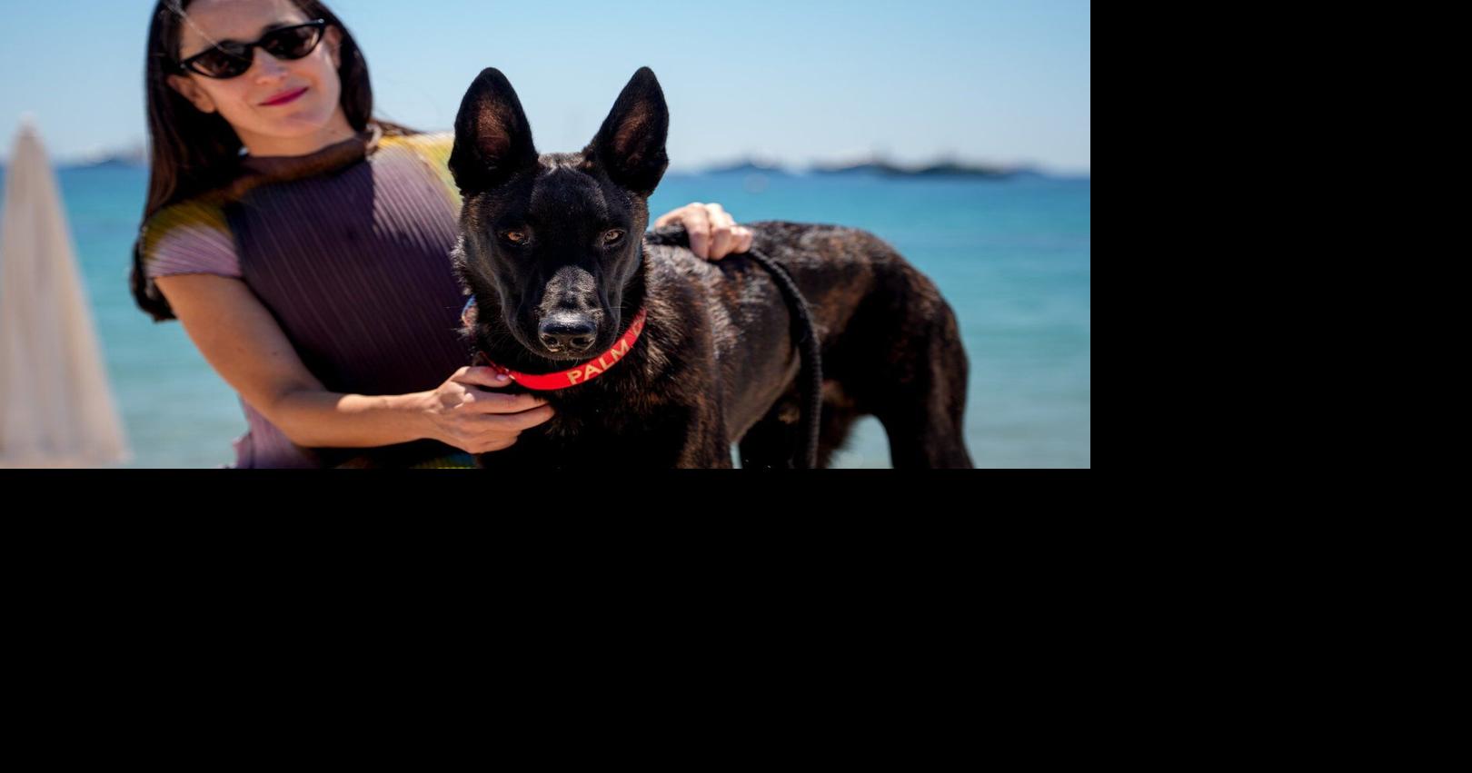 A round of a-paws for ‘La Perra,’ winner of the Palm Dog award at Cannes