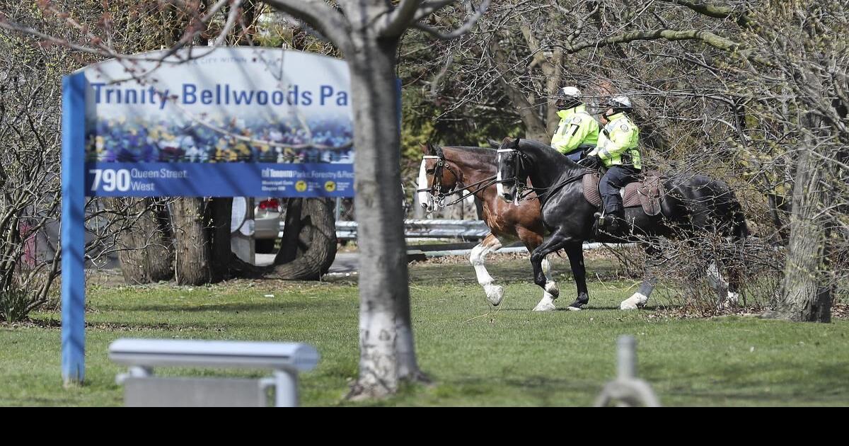 CTV issues apology after video shows nonconsensual kiss