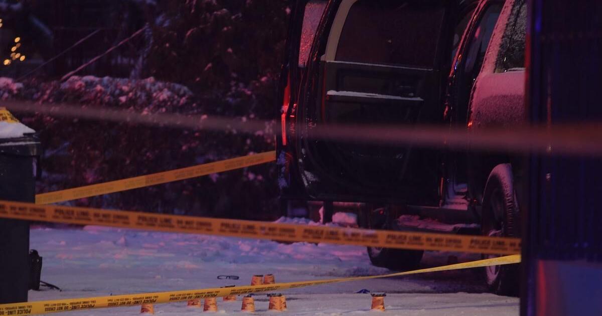 Toronto police ID victim in North York daylight fatal shooting, appeal ...
