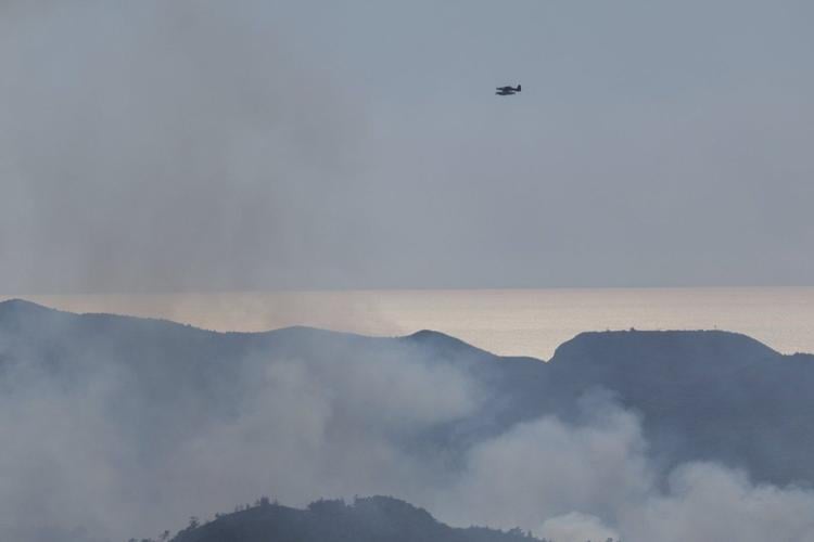 UN teams deploy to Syrian coast as wildfires force hundreds to flee