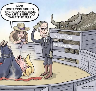 Graeme MacKay: Tame the bull