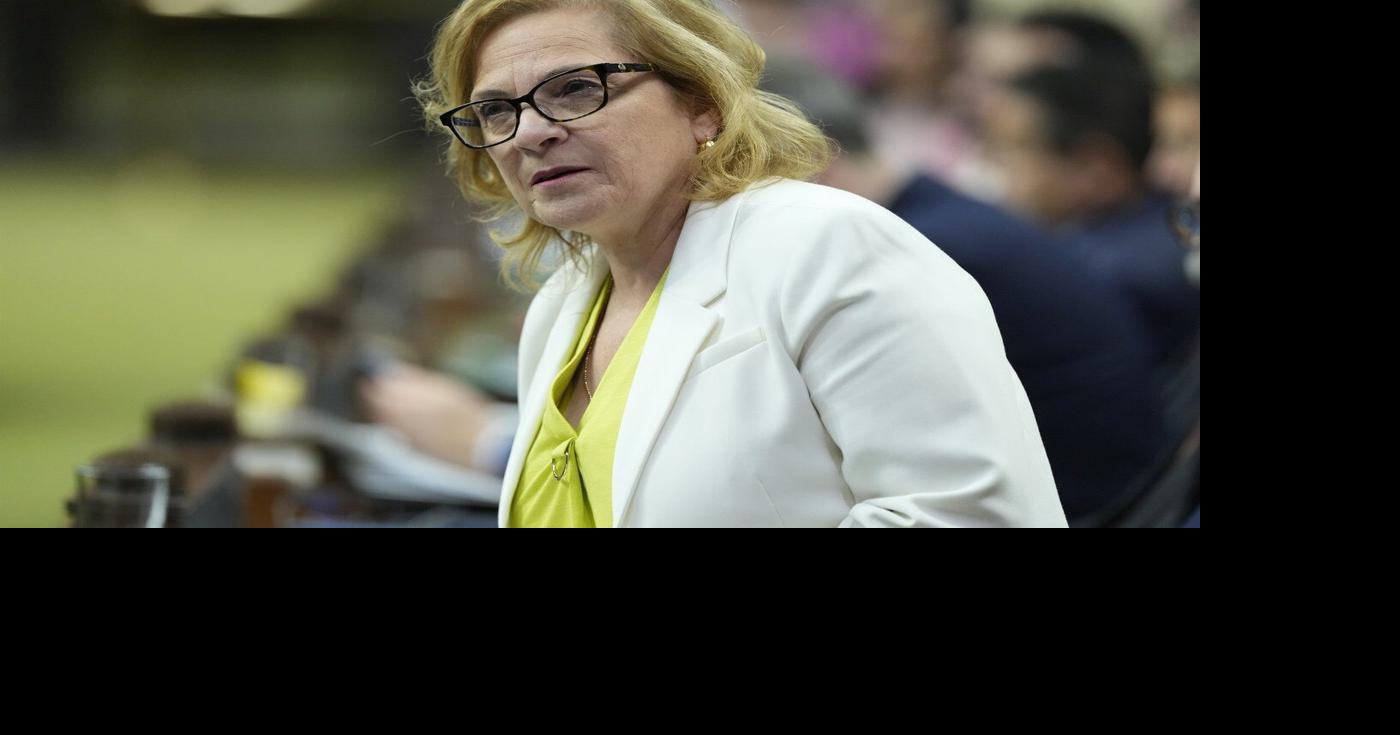 Provincial immigrant nominee programs get late year boost: Diab