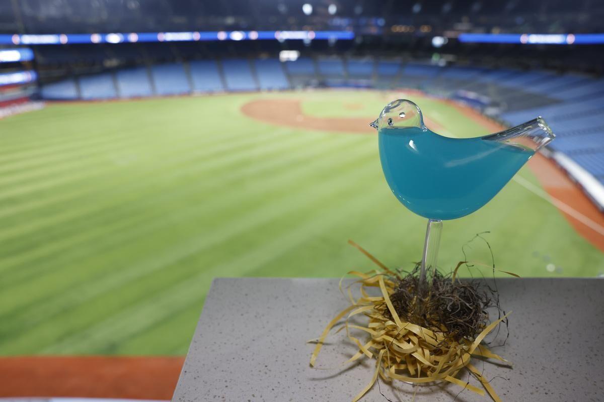Morning Brief: Comparing Grocery Store Bills, A Blue Jays Game Day Guide &  More - Narcity