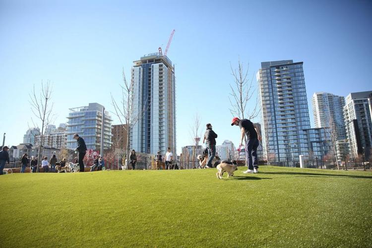 East Village lets the dogs out with new park