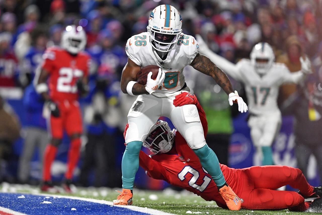 Dolphins Still Control Playoff Fate Despite Recent Losses