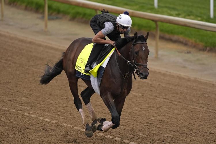 Trainer Chad Brown seeks first Kentucky Derby victory after coming