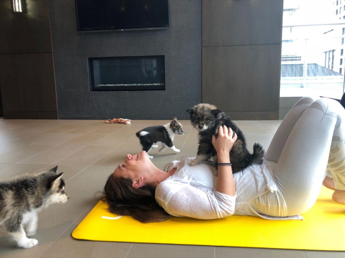 Is Puppy Yoga Unethical? A Reporter Finds Risk of Harm