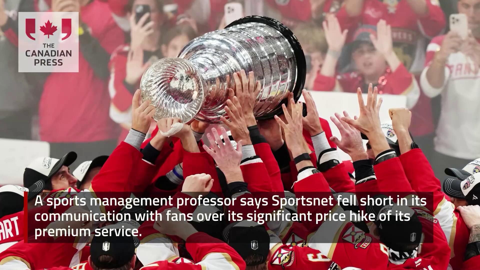 Rogers Sportsnet Subscription Professor Questions Value As