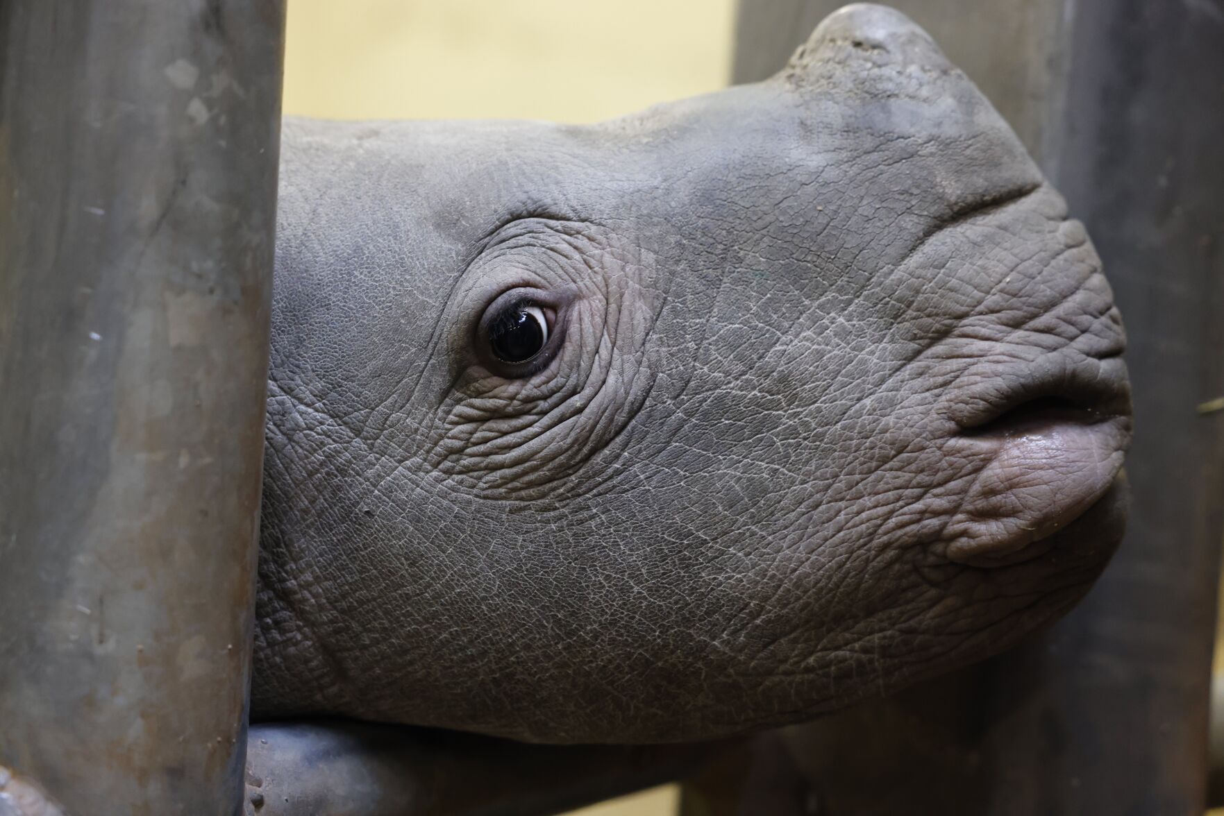 65de5fe39c2b9.image.jpg?crop=