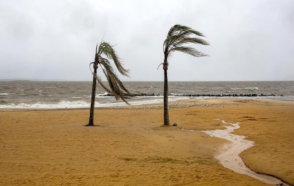 Southern East Coast hit by flooding as Ophelia weakens to tropical  depression and moves north –