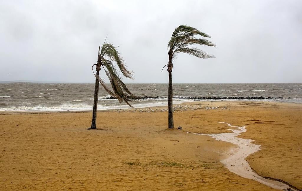 Southern East Coast hit by flooding as Ophelia weakens to tropical