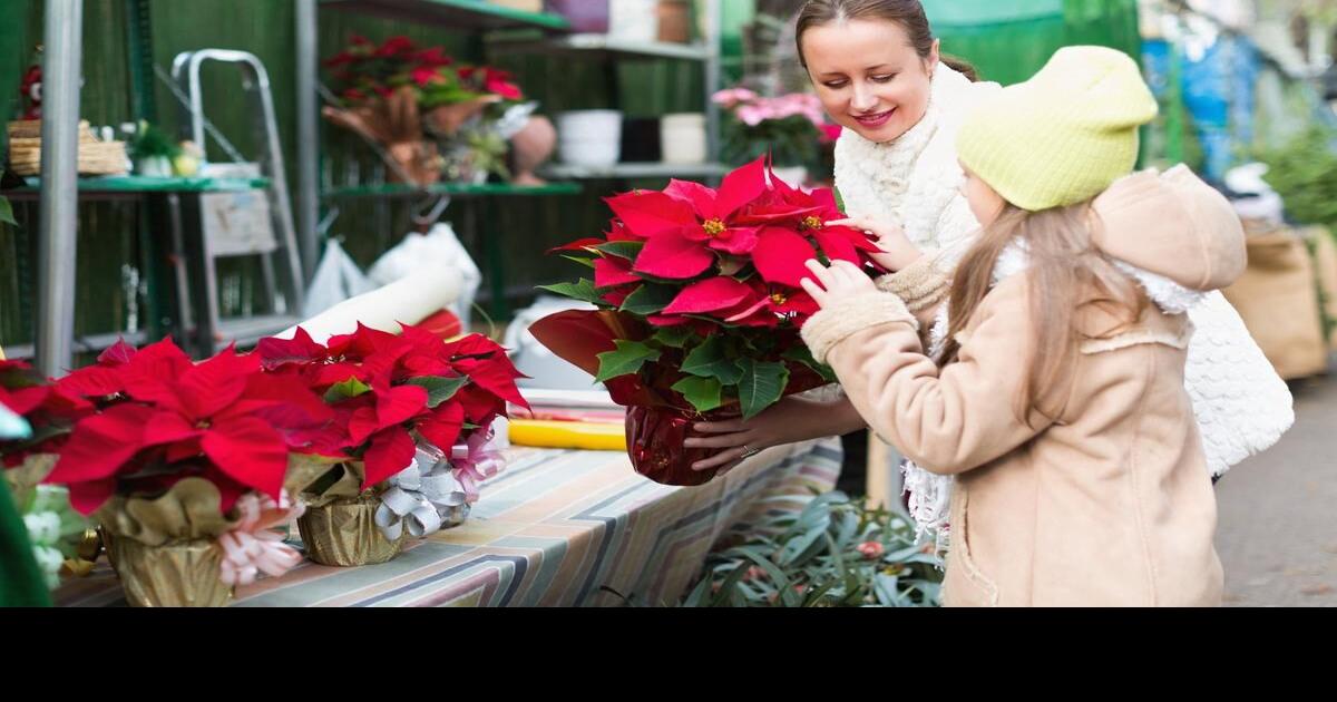 Dispelling gardening myths The truth behind urban legends and