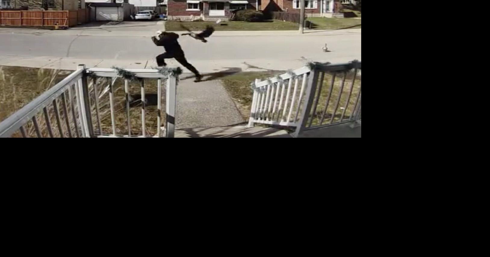 Waterloo students attacked by nesting Canada geese