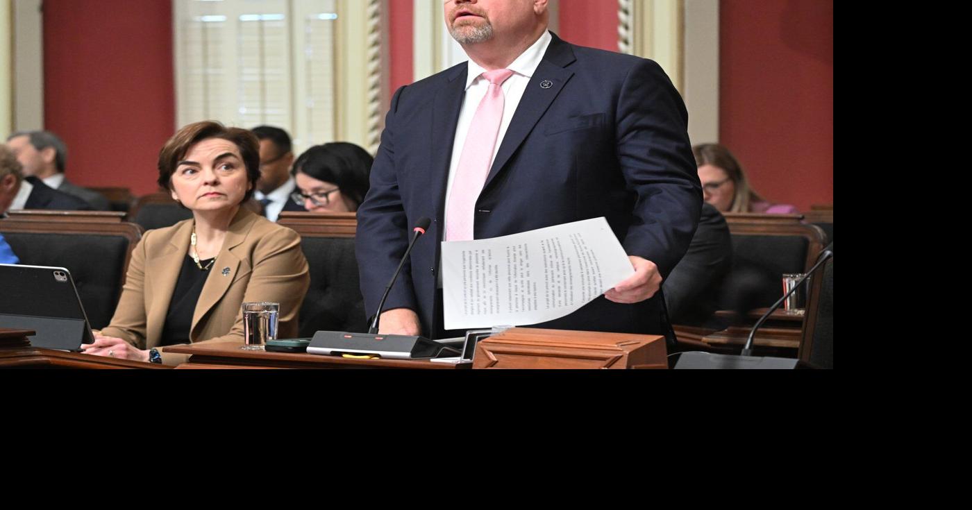 Quebec tables bill allowing people to obtain domestic violence history of partners