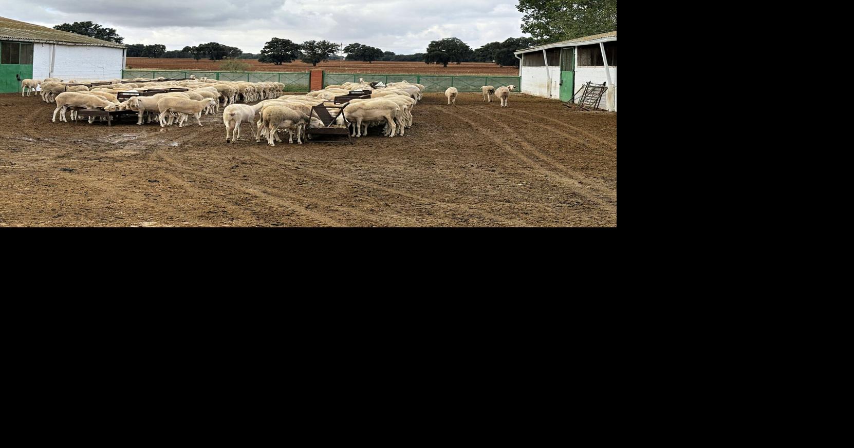 I explored a delicious region of Spain, with famous cheese, wine and Michelin stars but few tourists