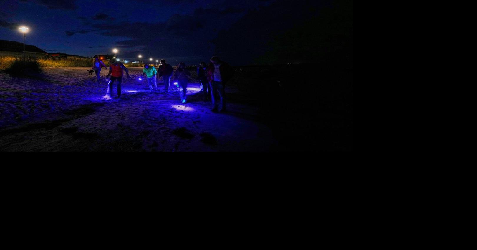 https://bloximages.chicago2.vip.townnews.com/thestar.com/content/tncms/assets/v3/editorial/9/6a/96a63924-0f7d-5695-99da-1922c703a3bf/68c9571daddda.image.jpg?crop=1620,851,0,114&resize=1200,630&order=crop,resize