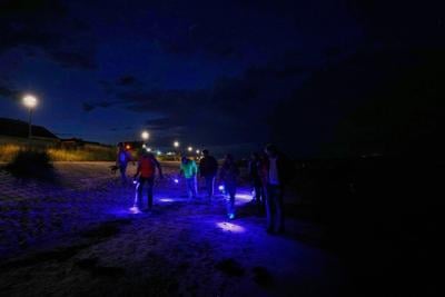 Finding happiness in amber: On Germany's Baltic coast, people go hunting for the precious pieces