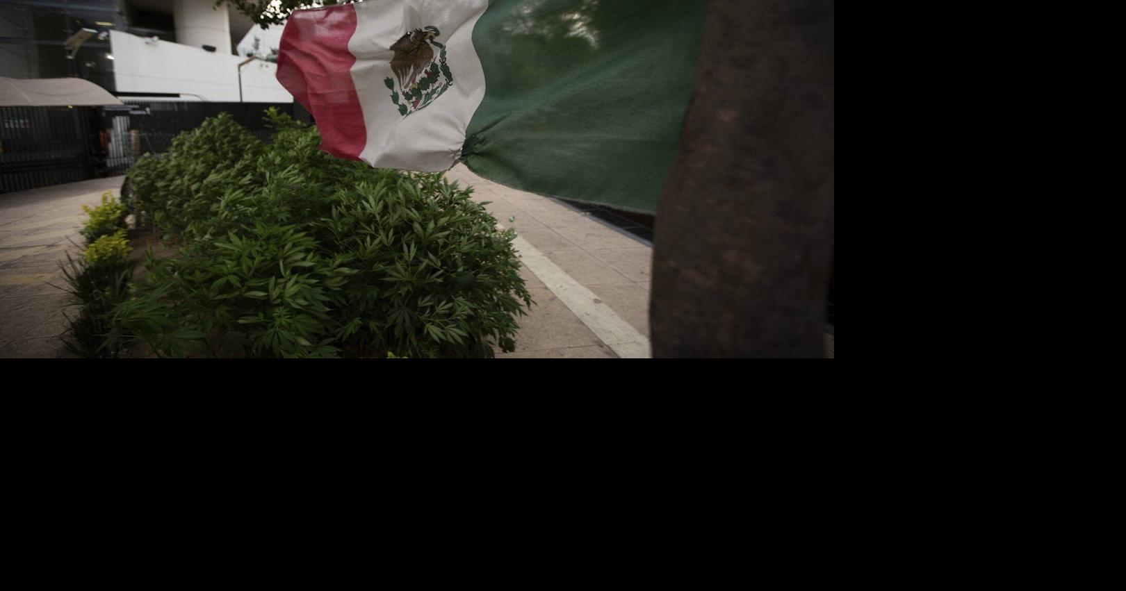 10 'taken' from B.C. firm's Mexican mine site, but Global Affairs says no Canadians