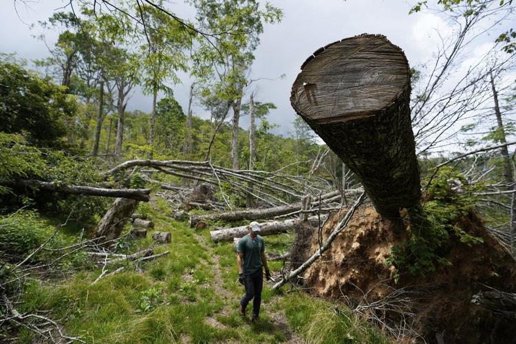 Parts of the Appalachian Trail are still damaged after Helene. Volunteers are fixing it by hand