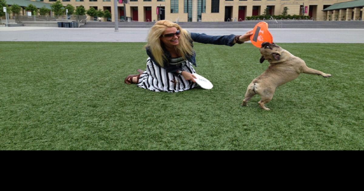 Mississauga bans petstore sales of privately bred cats and dogs