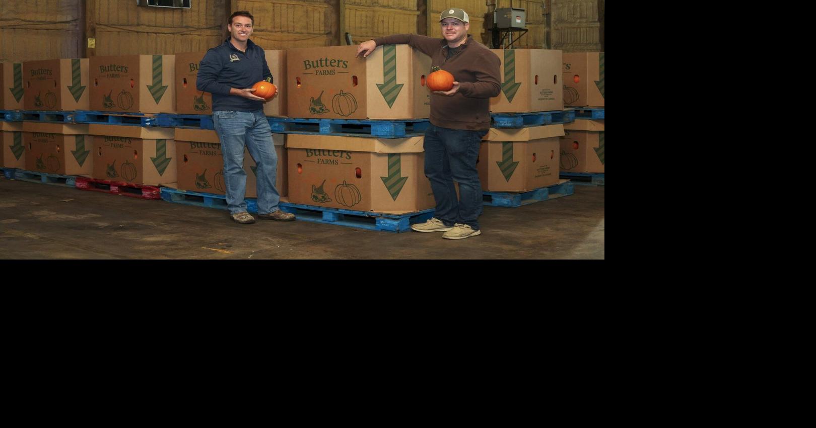 Pumpkins may be tariff-free, but farmers face tough knock-on effects and high prices