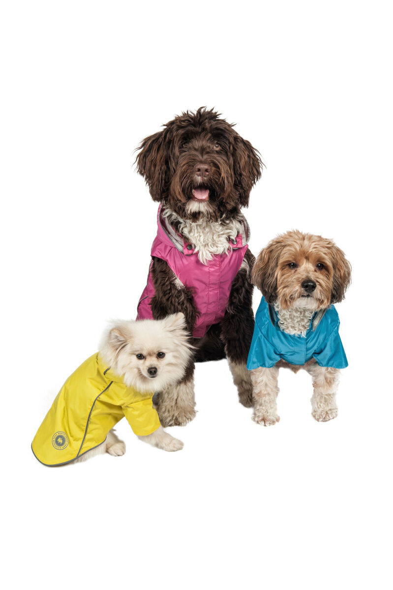 Petsmart dog cheap hoodies