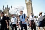 Sunny England Oved.JPG