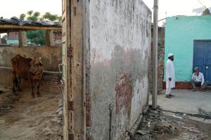 In India, police shootings of alleged cow smugglers raise alarm about impunity and bias