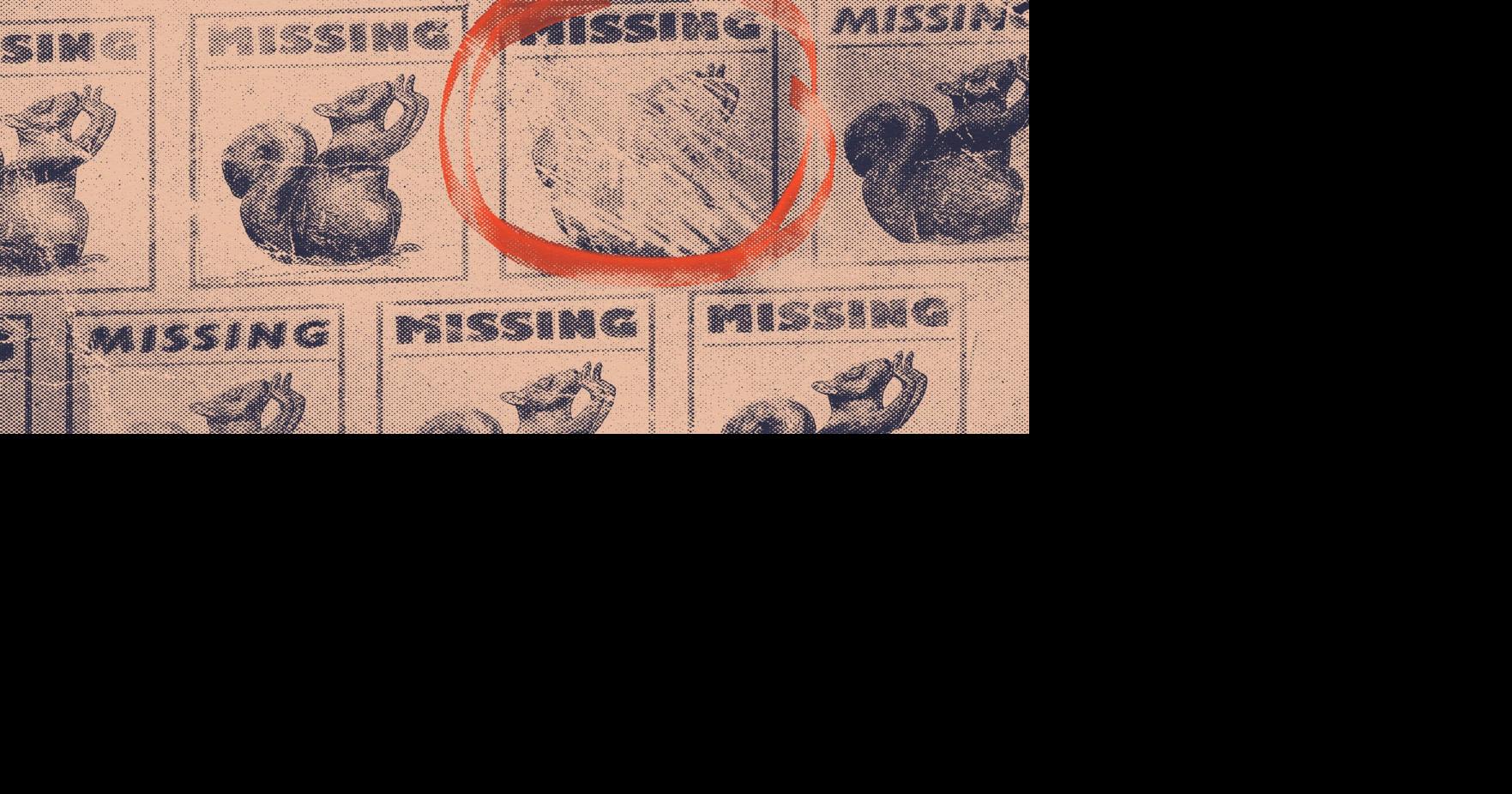 Two squirrel statues went missing from a Toronto park. Now everyone’s a suspect - Toronto Star