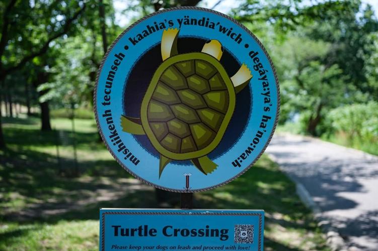 Citizen conservation effort seeks to protect turtles in High Park