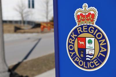 Newmarket dog owner sentenced