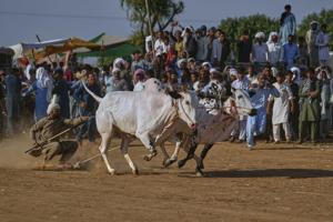 682d64da28c21.image.jpg?resize=300%2C200