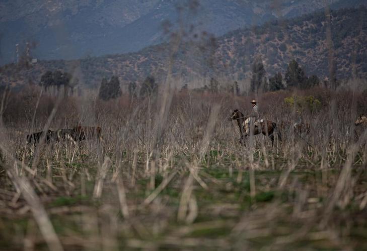 Worst drought in decades hits Chile capital and outskirts