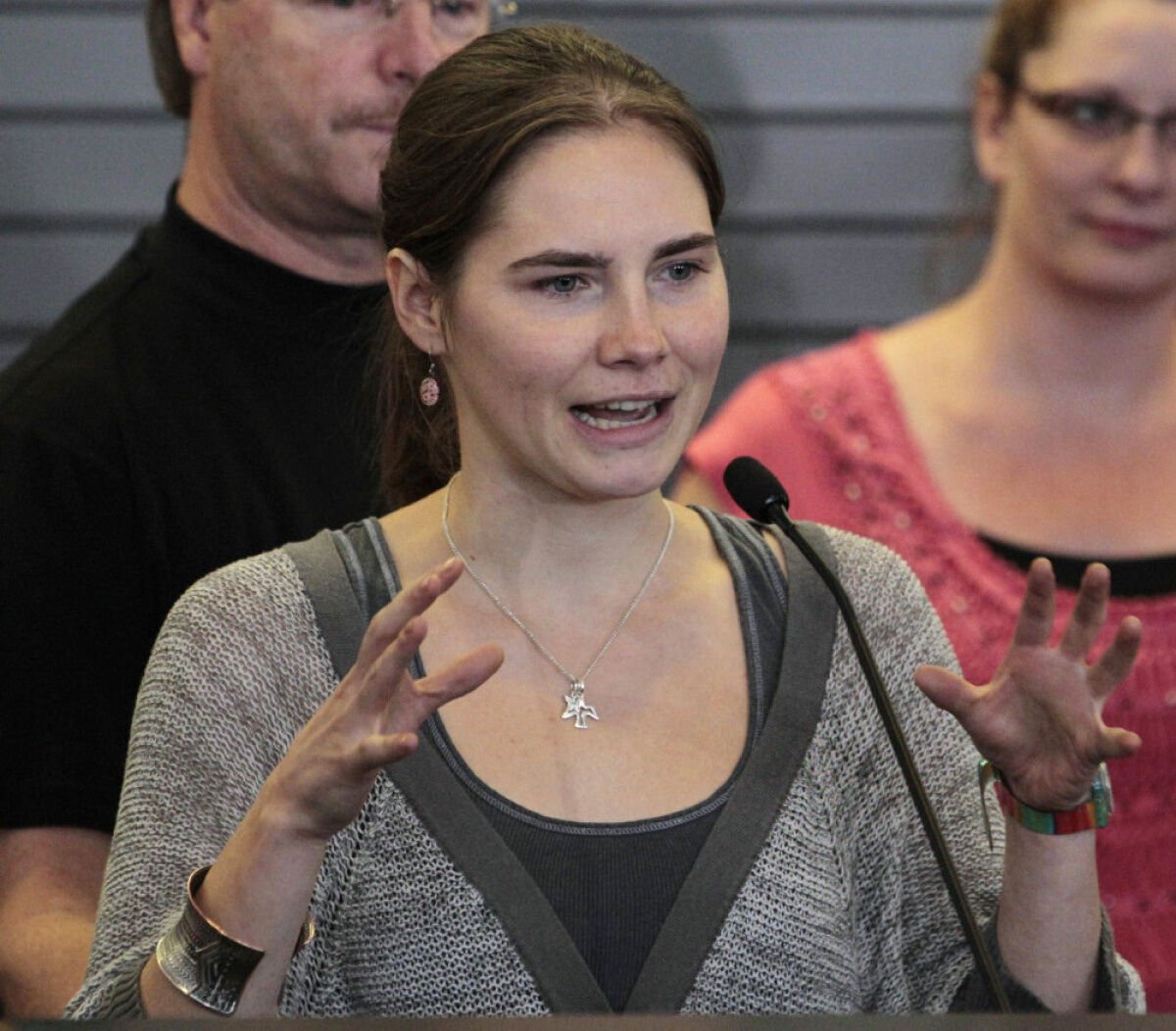 Amanda Knox Lawyer Appeals Slander Conviction