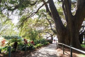 Nicole Kidman’s five favourite places in Sydney
