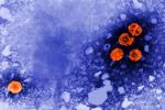 Experimental hepatitis B drug might offer 'functional cure' for a subset of patients