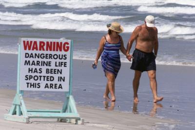 Sharks Tooth Spotted Warning Sign