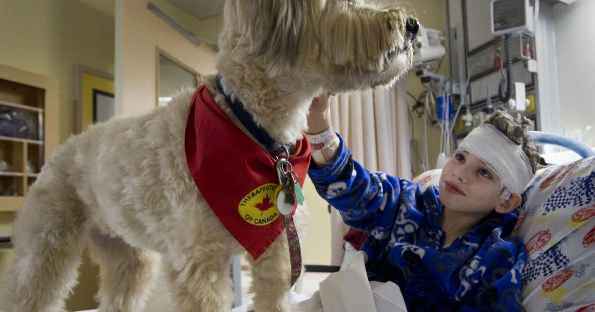 Calling ‘Dr. Dog’: Therapy dog makes the rounds at the Hospital for ...