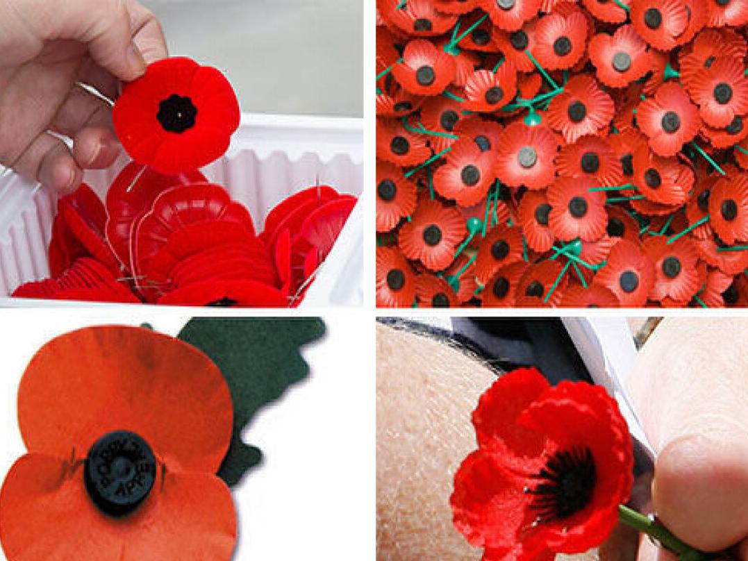 All about the poppy, Remembrance