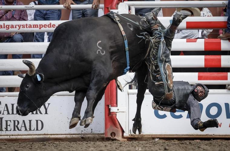 Photo Gallery Calgary Stampede rodeo competition