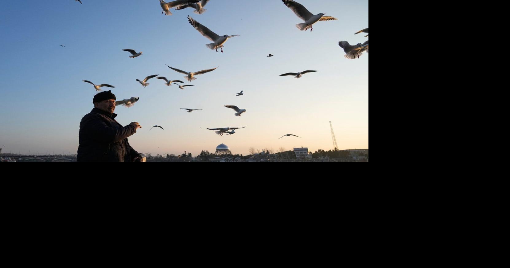 Photos of leisure and commerce along Iran’s Caspian Sea coast
