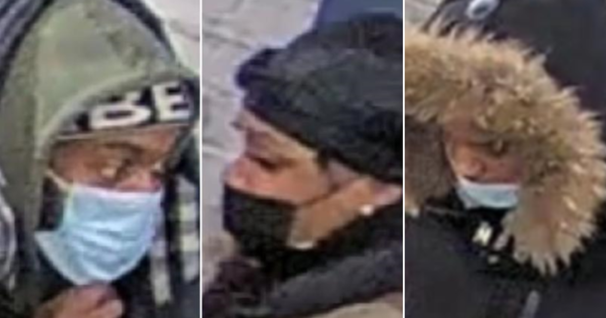 OPP release new images of Elnaz Hajtamiri kidnapping suspects
