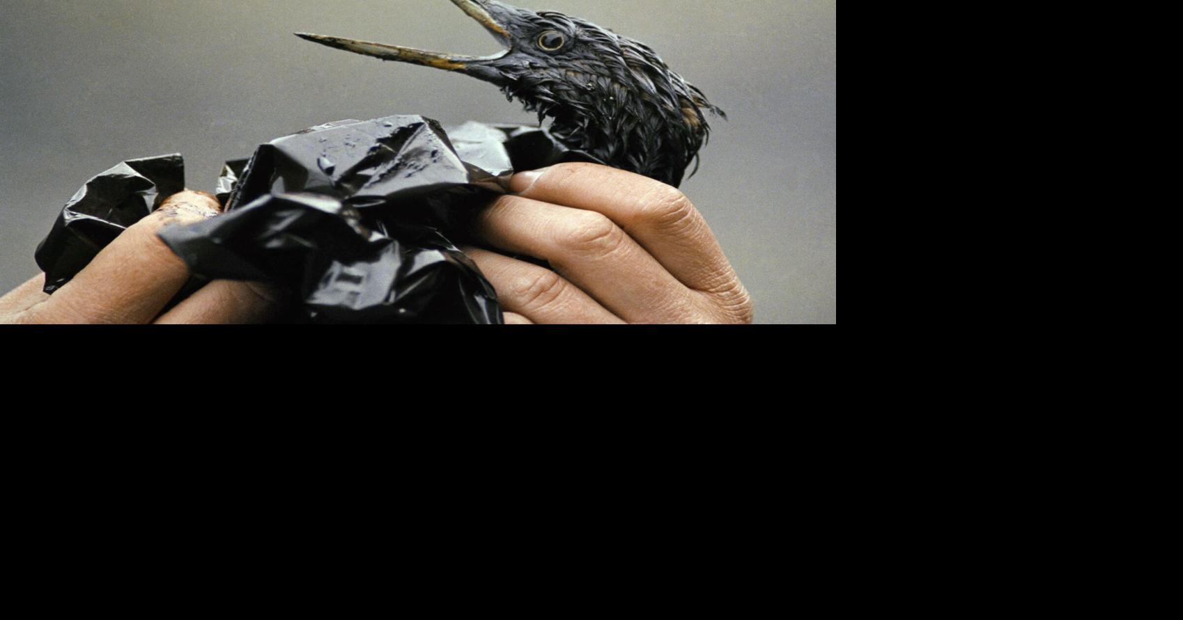 Exxon Valdez 25th Anniversary