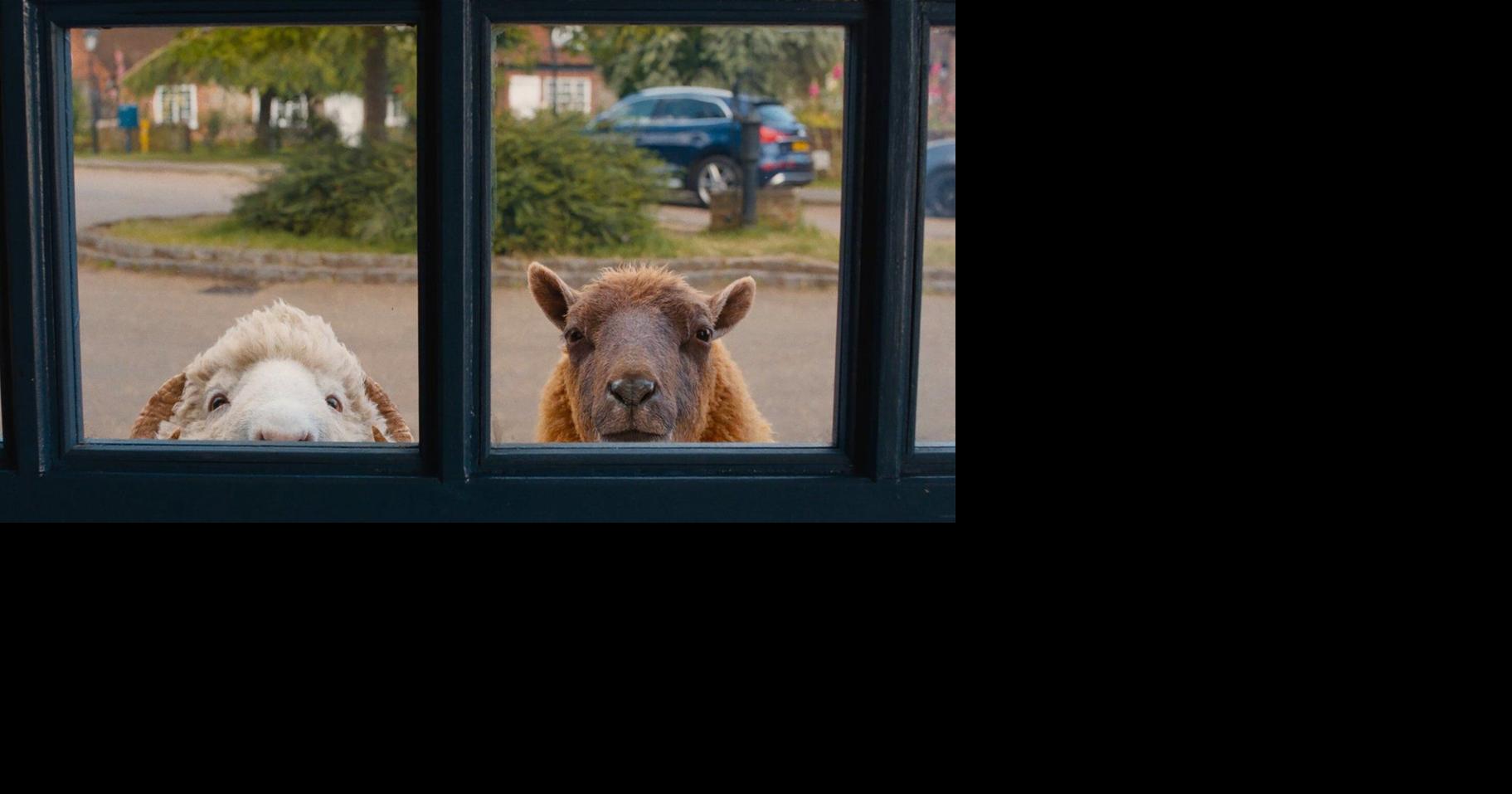 Movie Review: In 'The Sheep Detectives,' the private eyes have wool over their eyes